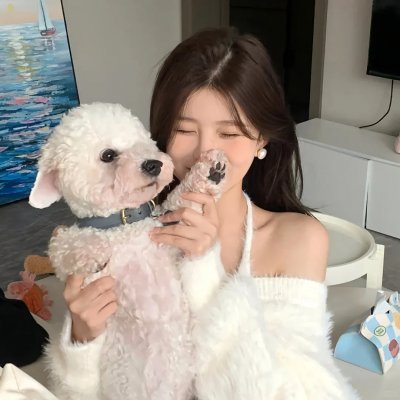 雪国记者 海报